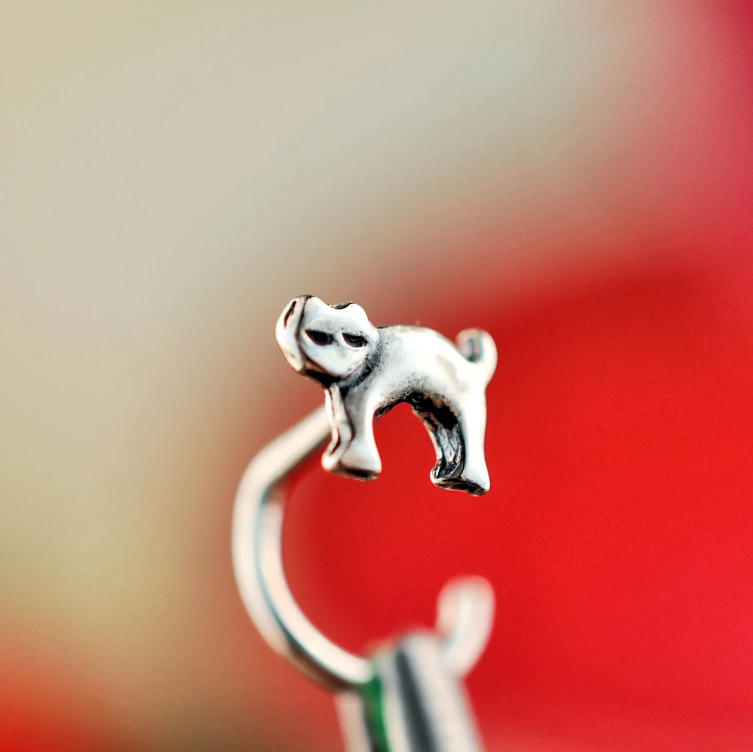 Cat Nose Stud