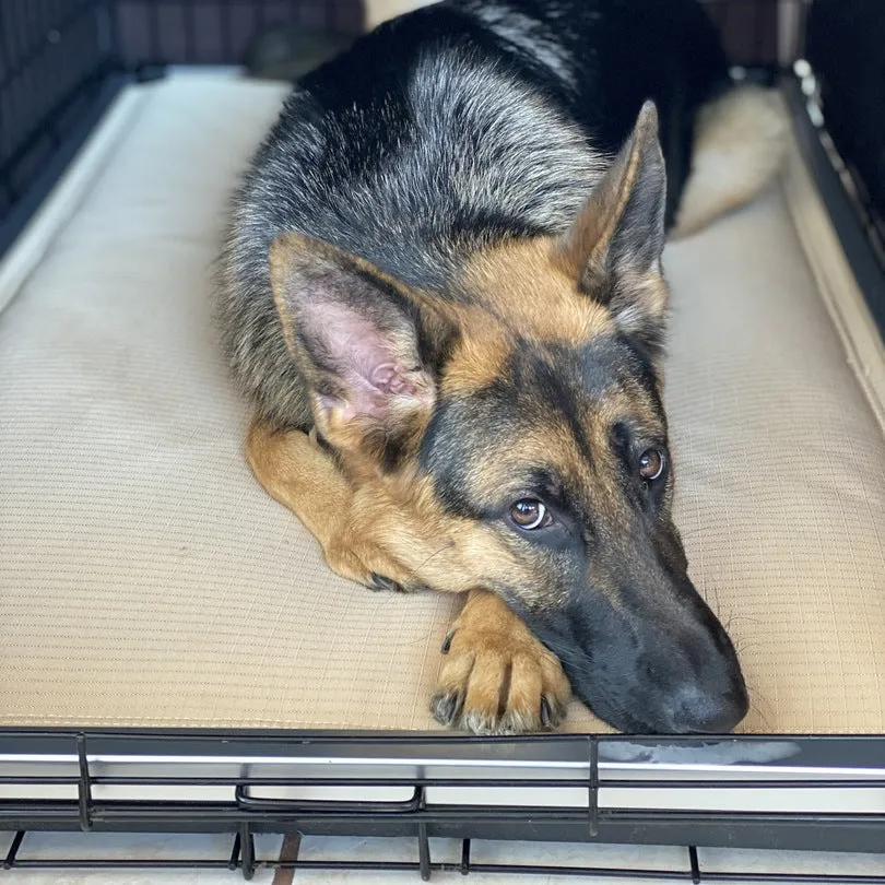 Chew Proof Armored™ Dog Crate Pad