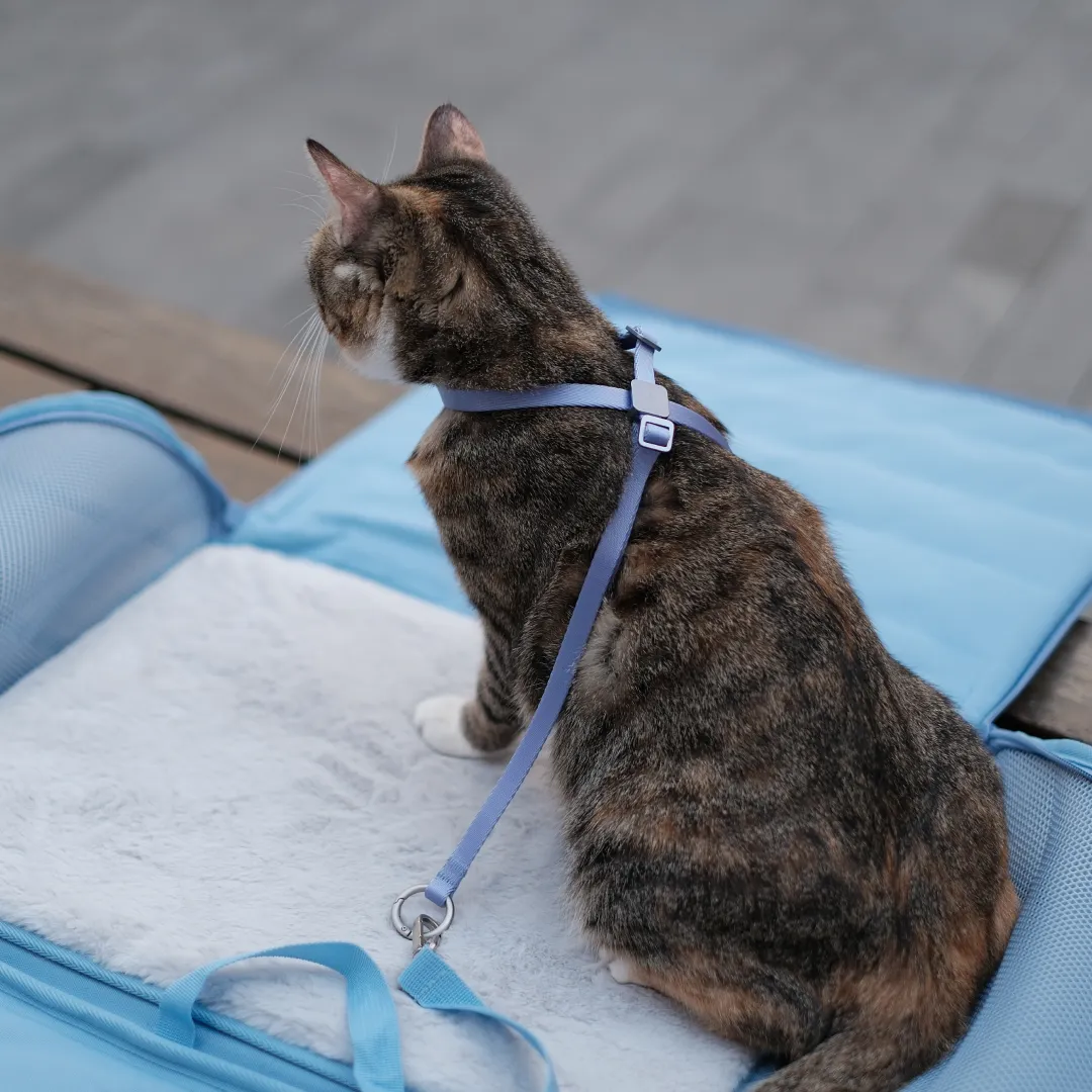 Escape-Proof Training Harness