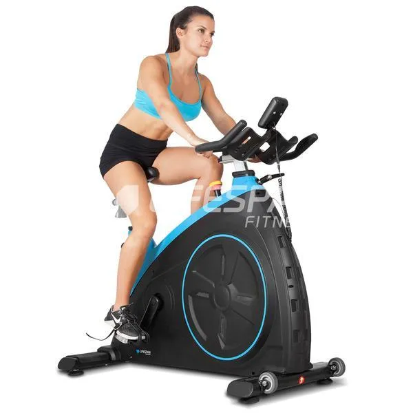 Lifespan Fitness SP-960 Spin Bike