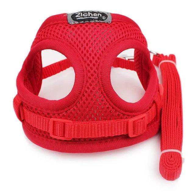 Little Dog Protection Leash