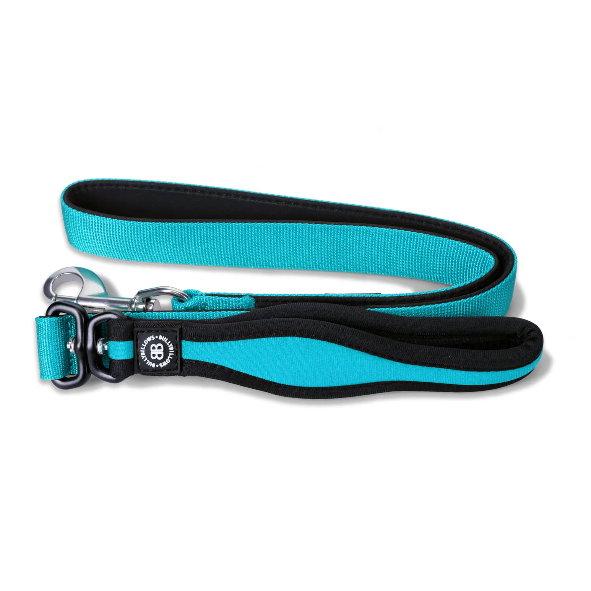 Snap Hook Clasp Lead - Light Blue