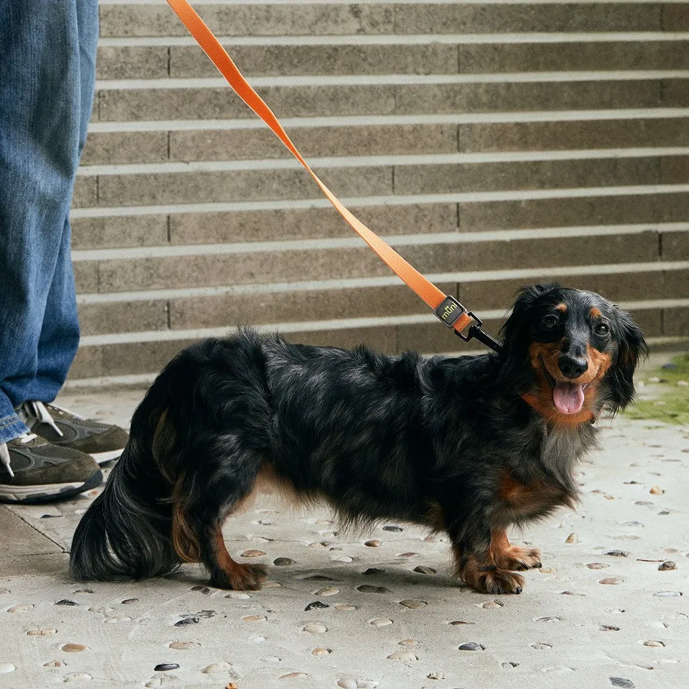 Water-Block Leash