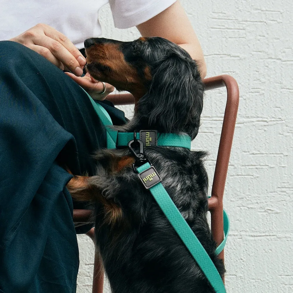 Water-Block Leash