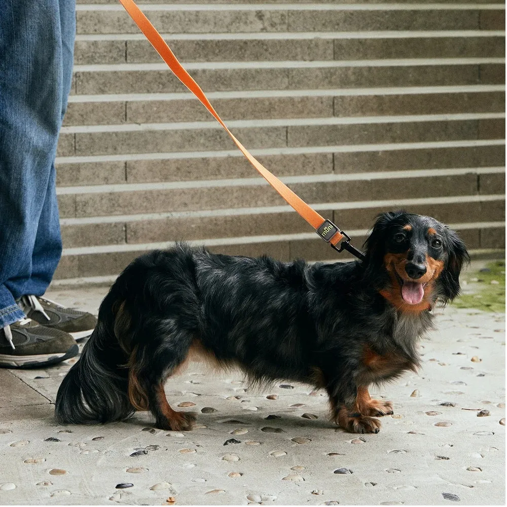 Water-Block Leash