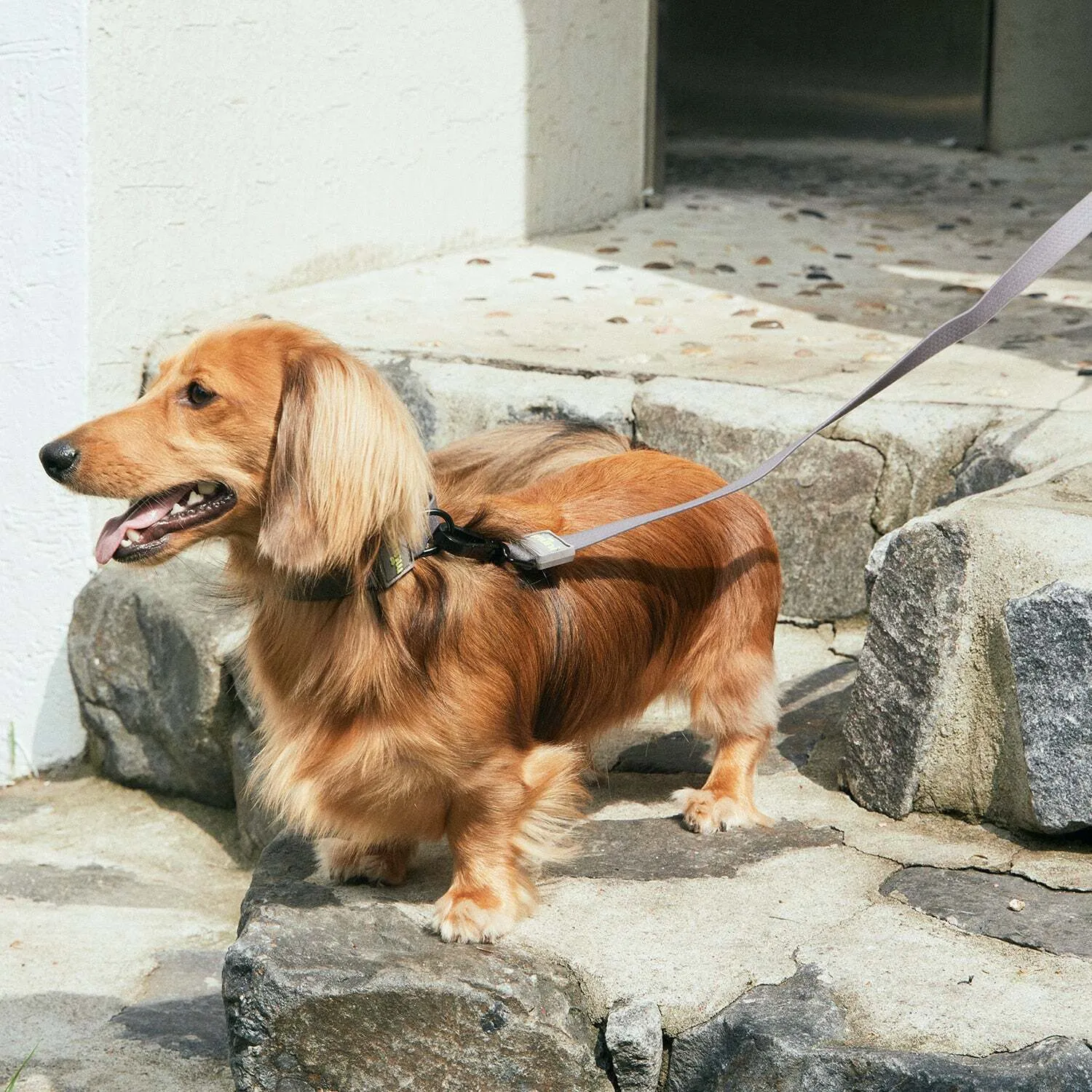 Water-Block Leash