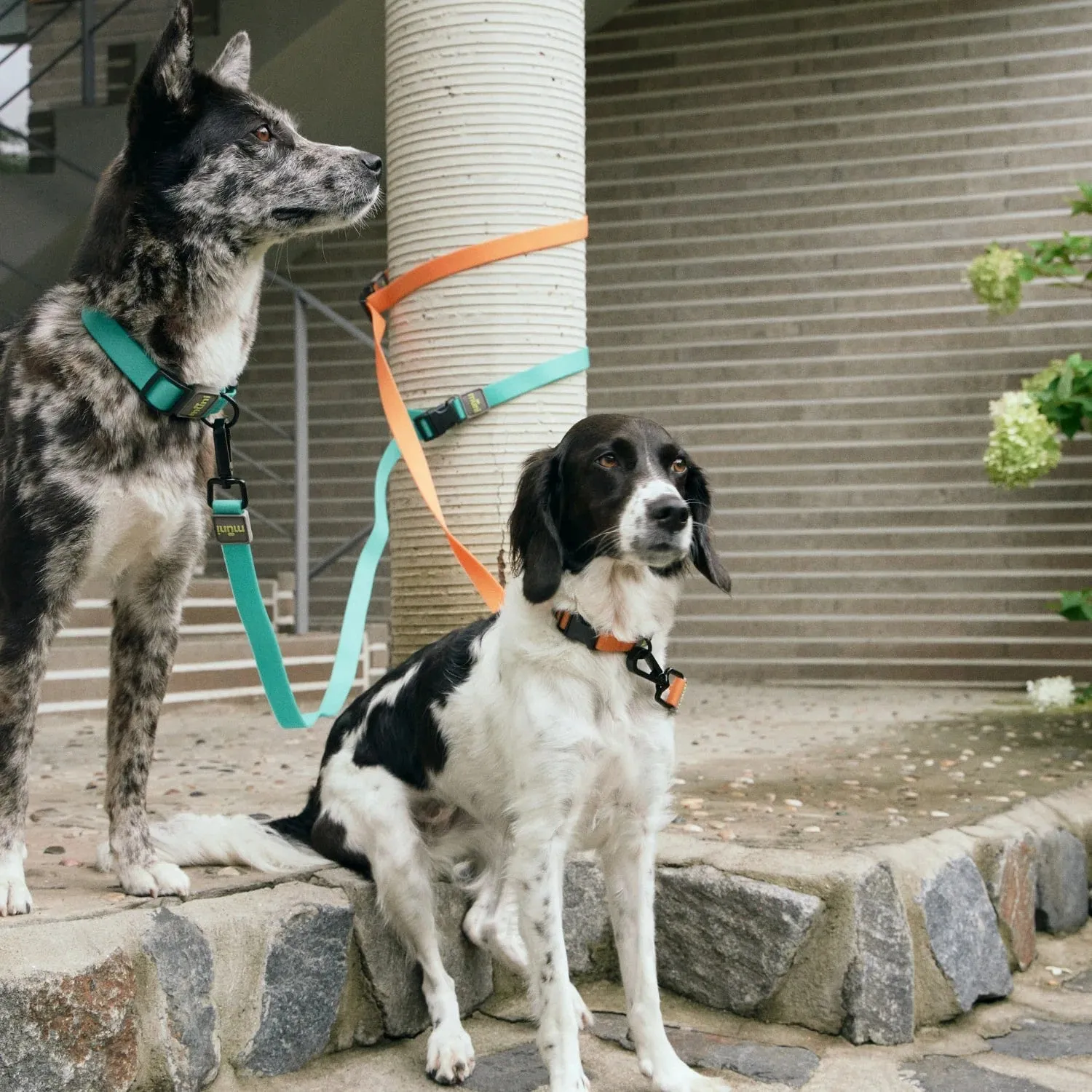 Water-Block Leash